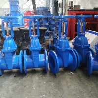 2" Inch Z41 Outside Screw Elastic Rising Stem Sealing Stop Gate Valve